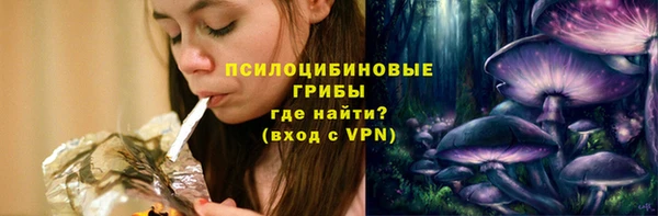 сатива Белокуриха