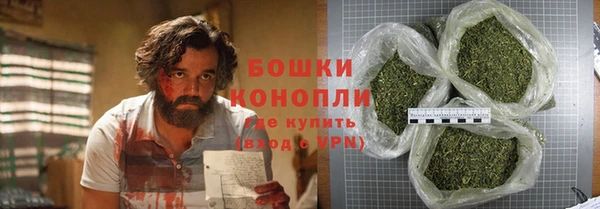 сатива Белокуриха